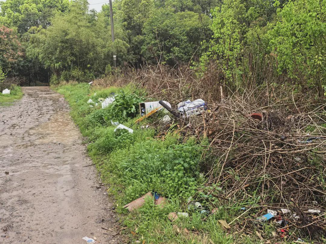 从晒谷场到停车场:金华东湄村的土地活化实践与制度逻辑深度剖析 新闻