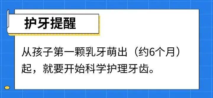【技术深度】乳牙健康:被低估的儿童口腔“基建工程” 健康养生
