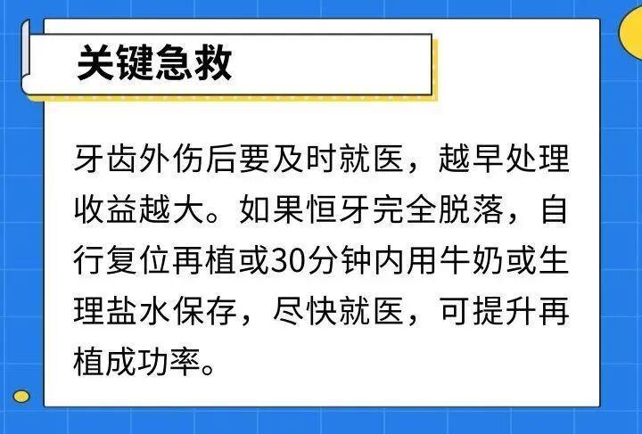 【技术深度】乳牙健康:被低估的儿童口腔“基建工程” 健康养生