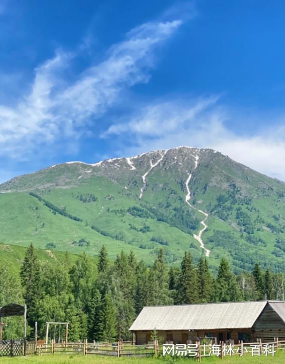 《丁庄梦》文本肌理解析:社会学视角下的卖血叙事 影视小说