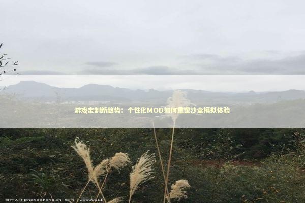 游戏定制新趋势：个性化MOD如何重塑沙盒模拟体验
