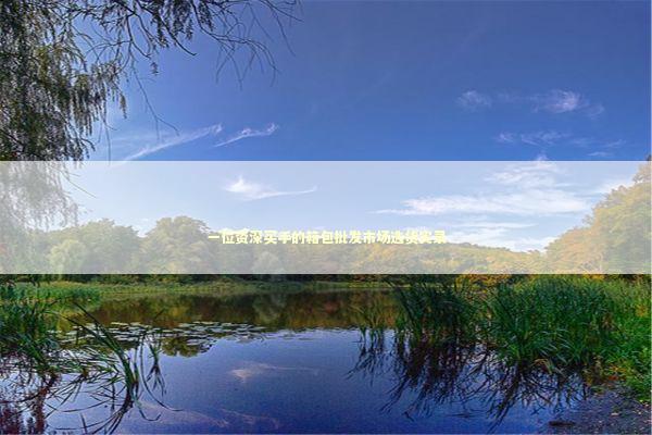 一位资深买手的箱包批发市场选货实录 企业服务