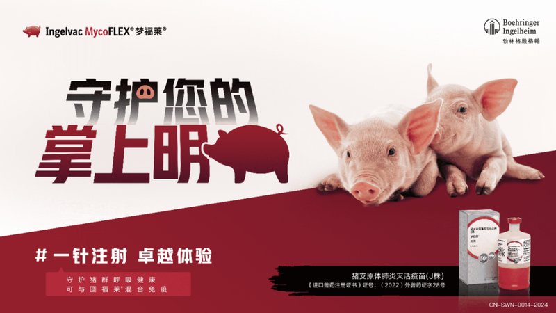  三大养殖业巨头开年动作频频，释放啥信号？ 新闻