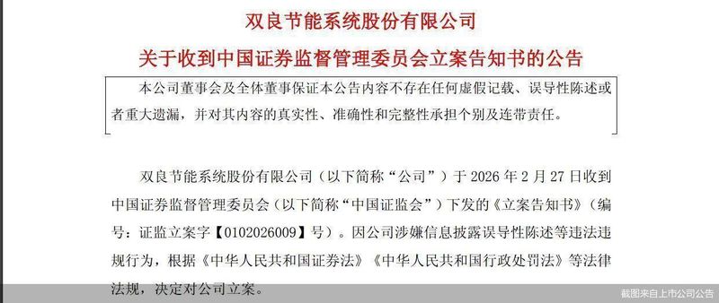 净利预亏叠加立案,双良节能股价迎考 新闻