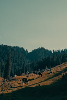 清晨，集体暴涨！特朗普：军事行动可能持续4周！同意与伊朗新领导层对话！伊朗警告！ 新闻