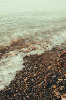  宋平同志遗体火化仪式在北京举行；党和国家领导人深切送别；一生革命功勋永存。 新闻 宋平同志遗体火化仪式在北京举行；党和国家领导人深切送别；一生革命功勋永存。 新闻 宋平同志遗体火化仪式在北京举行；党和国家领导人深切送别；一生革命功勋永存。 新闻 宋平同志遗体火化仪式在北京举行；党和国家领导人深切送别；一生革命功勋永存。 新闻