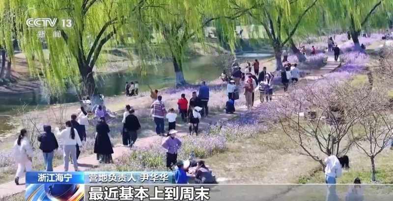  春季文旅消费升温，赏花采茶吃春菜；多元活动点亮经济活力。 新闻 春季文旅消费升温，赏花采茶吃春菜；多元活动点亮经济活力。 新闻