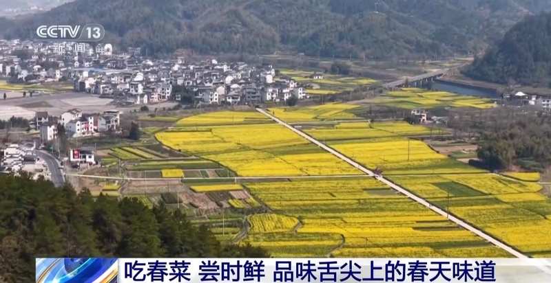  春季文旅消费升温，赏花采茶吃春菜；多元活动点亮经济活力。 新闻 春季文旅消费升温，赏花采茶吃春菜；多元活动点亮经济活力。 新闻