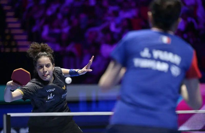  天赋并非胜负关键：所谓黑马奇迹背后的系统性博弈 IT技术