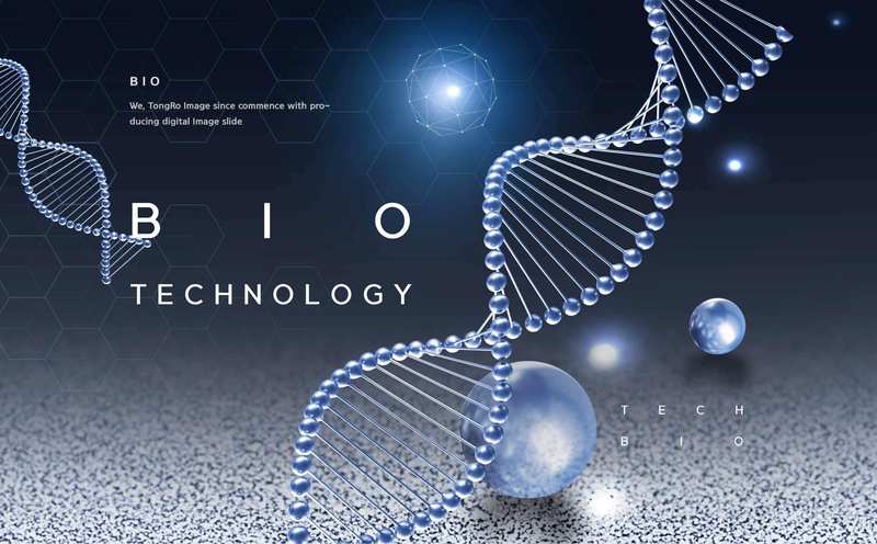  从实验室到就业市场：五大新兴专业的技术壁垒与战略价值深度解析 教育招生