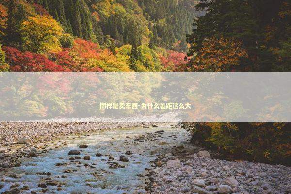 同样是卖东西-为什么差距这么大 同样是卖东西-为什么差距这么大 新闻