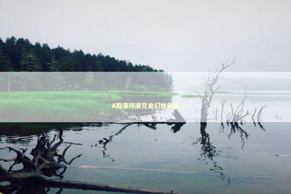 A股涨停潮兄弟们快来看 新闻