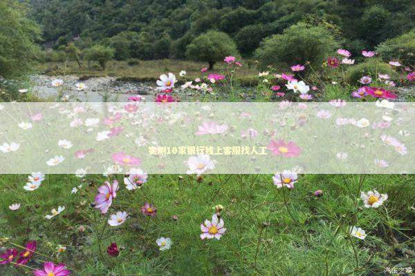 实测10家银行线上客服找人工 新闻