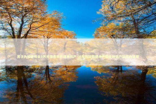 男子为躲避母亲5万元债务放弃继承房产-法院判放弃继承声明无效遗产范围内清偿 新闻