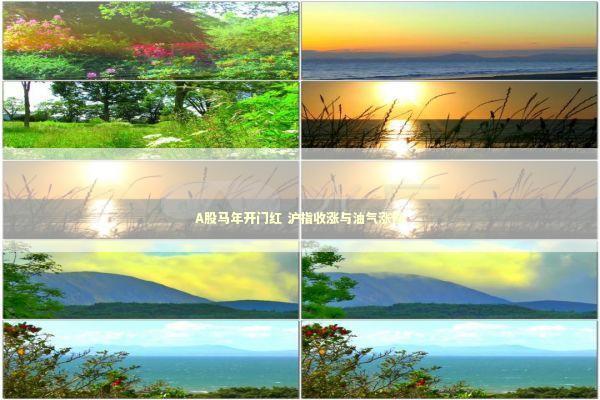 A股马年开门红 沪指收涨与油气涨停 新闻