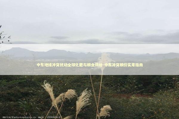 中东地缘冲突扰动全球化肥与粮食供给-中东冲突粮价实用指南 新闻