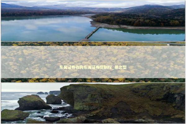 东吴证券收购东海证券控制权_悬念型 新闻