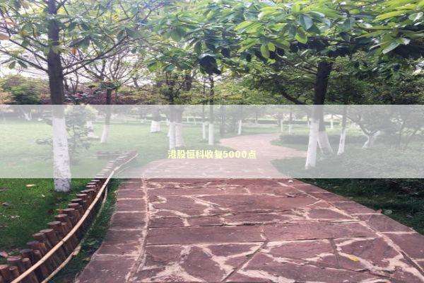 港股恒科收复5000点