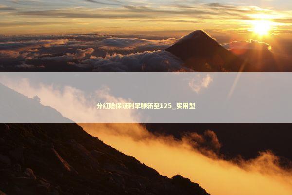 分红险保证利率腰斩至125_实用型