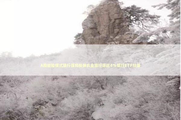 A股避险模式银行强势反弹农业银行涨近4%银行ETF放量 新闻