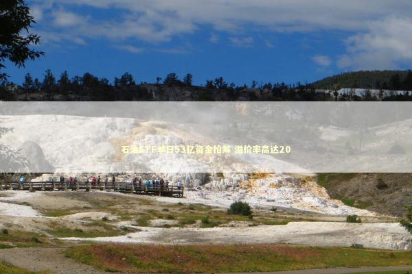 石油ETF单日53亿资金抢筹 溢价率高达20 新闻