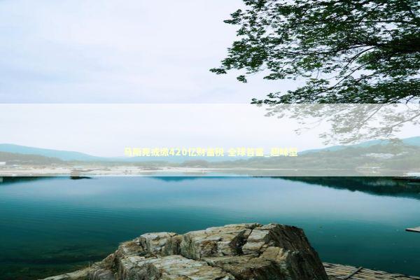 马斯克或缴420亿财富税 全球首富_趣味型 新闻