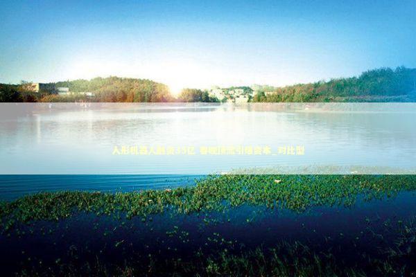 人形机器人融资35亿 春晚顶流引爆资本_对比型 新闻