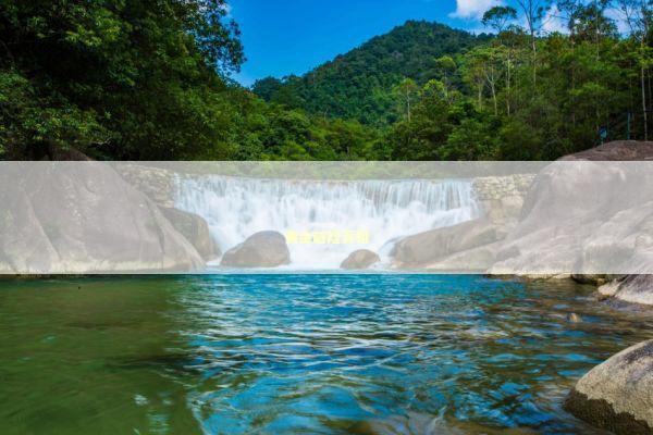 黄金避险真相 新闻