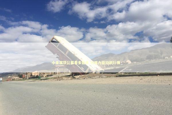 小金属获公募看多做多 AI算力驱动新行情 新闻