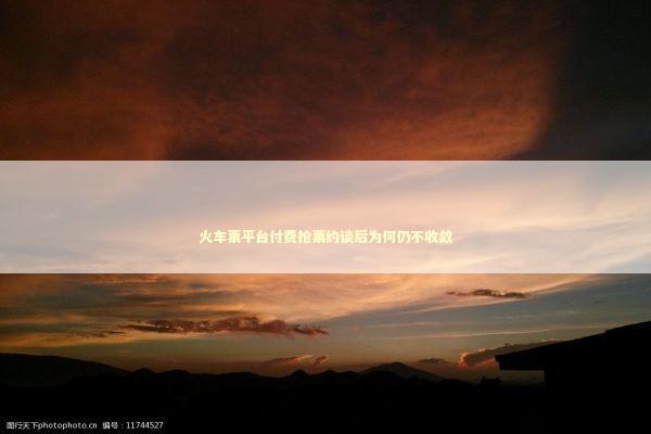 火车票平台付费抢票约谈后为何仍不收敛 新闻