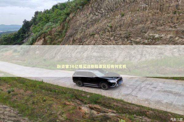 融资客36亿爆买这些股票背后有何玄机 新闻