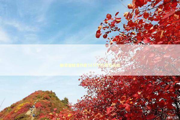 融资客精准抄底36只个股背后真相 新闻