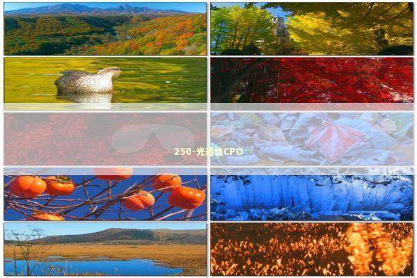 250-光通信CPO 新闻