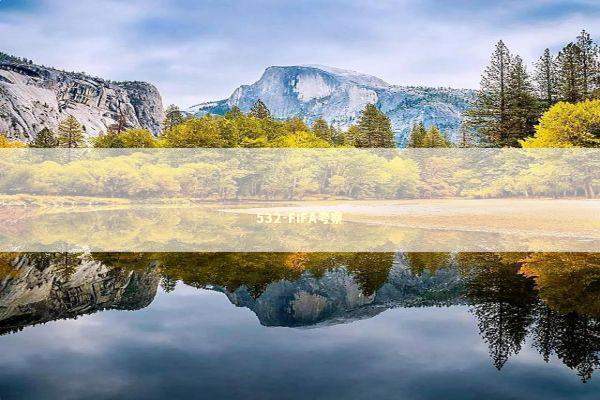 532-FIFA考察 新闻