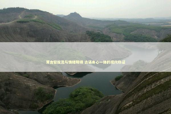 胃食管反流与情绪障碍 古语身心一体的现代印证 新闻