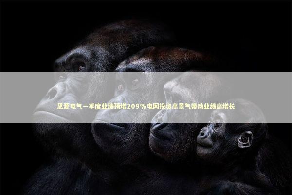 思源电气一季度业绩预增209%电网投资高景气带动业绩高增长 新闻