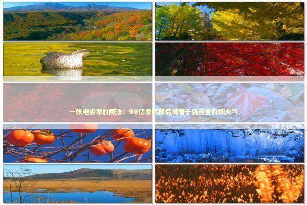 一张电影票的魔法：90亿票房背后藏着千店百业的烟火气 新闻