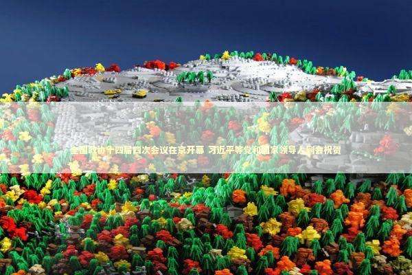 全国政协十四届四次会议在京开幕 习近平等党和国家领导人到会祝贺 新闻