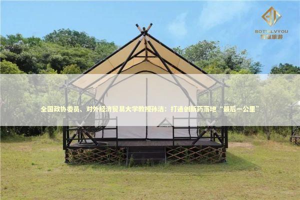 全国政协委员、对外经济贸易大学教授孙洁：打通创新药落地“最后一公里” 新闻