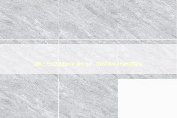 跟队：尤文已经重启DV9续约谈判，预计开出600万欧年薪报价 新闻