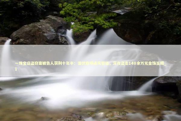 一珠宝店盗窃案被告人获刑十年半：潜伏商场通风管道，深夜盗走140余万元金饰玉镯_1 新闻