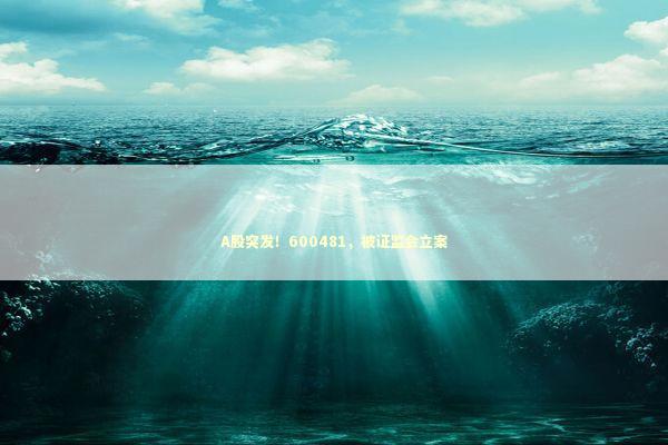 A股突发！600481，被证监会立案 新闻