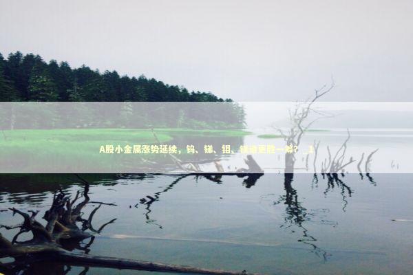 A股小金属涨势延续，钨、锑、钼、镁谁更胜一筹？_1