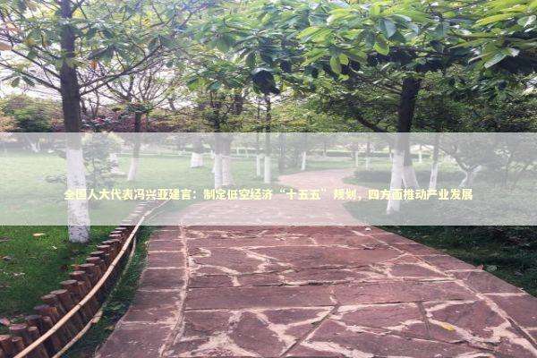 全国人大代表冯兴亚建言：制定低空经济“十五五”规划，四方面推动产业发展 新闻