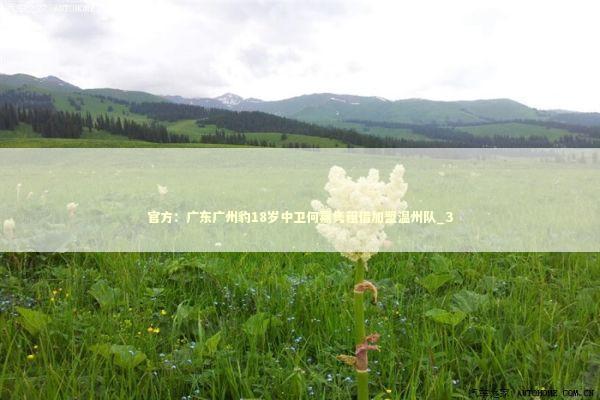 官方：广东广州豹18岁中卫何嘉隽租借加盟温州队_3