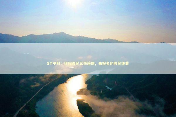 ST宁科：维权股民又获赔偿，未报名的股民速看 新闻