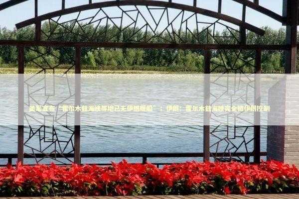 美军宣布“霍尔木兹海峡等地已无伊朗舰船”；伊朗：霍尔木兹海峡完全被伊朗控制