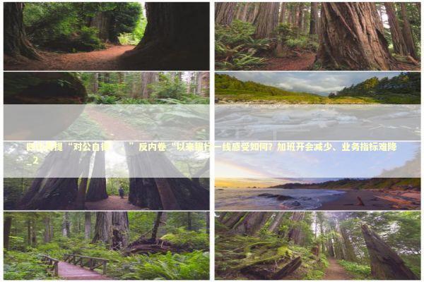 四川再提“对公自律”，”反内卷“以来银行一线感受如何？加班开会减少、业务指标难降_2 新闻