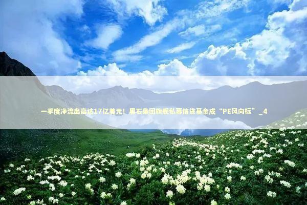 一季度净流出高达17亿美元！黑石集团旗舰私募信贷基金成“PE风向标”_4 新闻