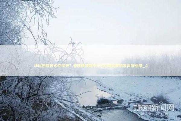 华远控股技术性保壳？营收精准踩中3亿红线关联销售贡献业绩_4 新闻